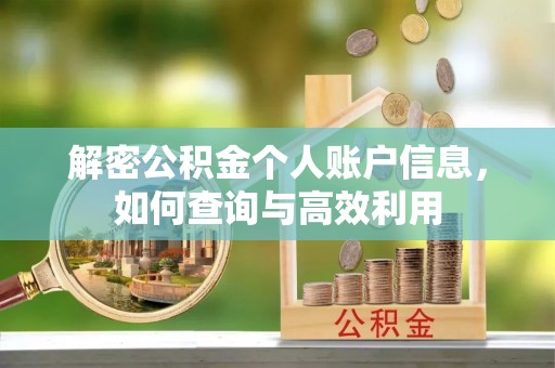 雨花解密公积金个人账户信息，如何查询与高效利用
