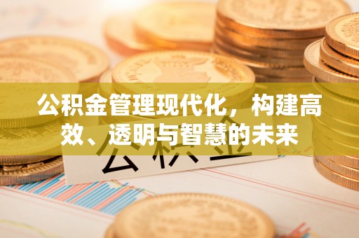 雨花公积金管理现代化，构建高效、透明与智慧的未来