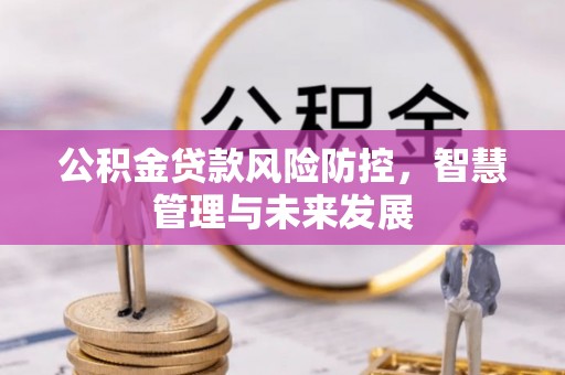 雨花公积金贷款风险防控，智慧管理与未来发展