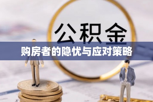 雨花购房者的隐忧与应对策略