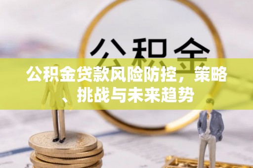 雨花公积金贷款风险防控，策略、挑战与未来趋势