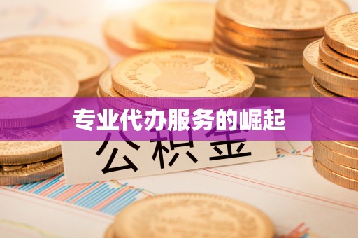 雨花专业代办服务的崛起