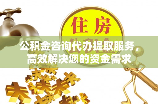 雨花公积金咨询代办提取服务，高效解决您的资金需求
