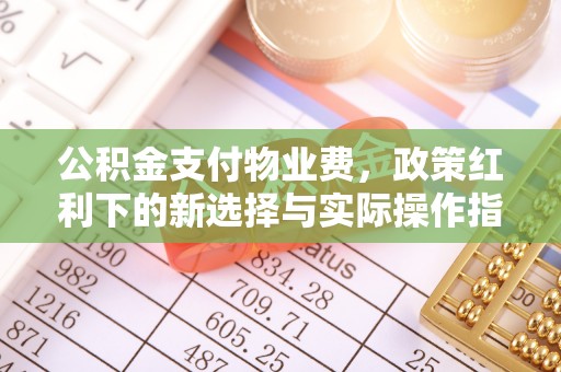 雨花公积金支付物业费，政策红利下的新选择与实际操作指南