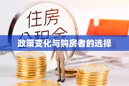 雨花政策变化与购房者的选择