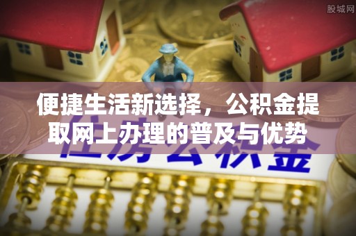 雨花便捷生活新选择，公积金提取网上办理的普及与优势