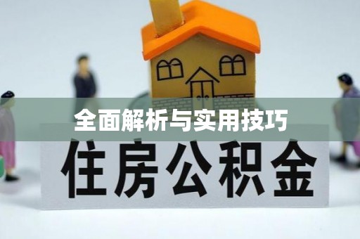 雨花全面解析与实用技巧