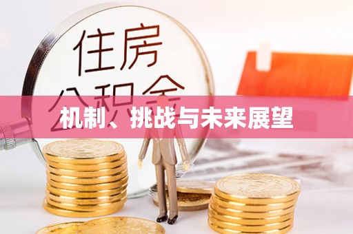 雨花机制、挑战与未来展望